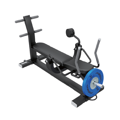 Proteam Weighted Ab Bench